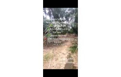 Telok Panglima Garang, Selangor 42500