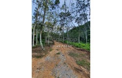 sungai siput , Kuala Kangsar, Perak 31100
