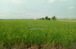 Sekinchan, Selangor 45400