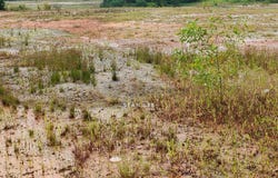 Jalan Makam, Mersing, Johor 86800