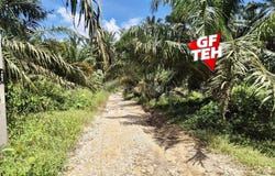 Selama, Perak 0