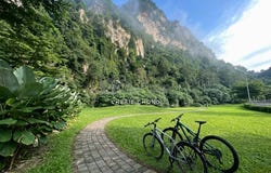11 (TYPE SL1), JALAN SCI 7/8, TAMAN FLORA, BANDAR SUNWAY (SERENE VILLAS), Kinta, Perak 31150