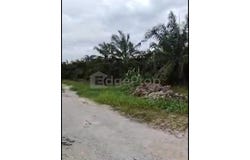 Kampung Seri Cheeding, Jenjarom, Banting, Banting, Selangor 42700