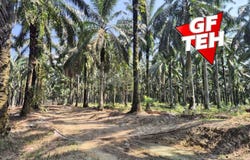 Larut Matang, Perak 34100