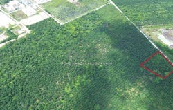 Kuala Langat, Selangor 41200