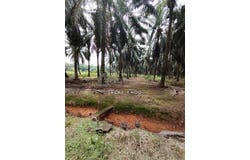 Kuala Langat, Selangor 42700