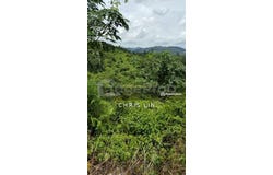Bentong, Pahang 28700