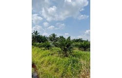 Pontian, Johor 82200