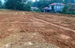 Jalan Equine, Puchong South, Selangor 43300