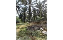 Johor Bahru, Johor 81700