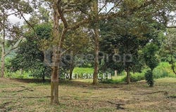 Bentong, Pahang 28700
