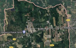 Pokok Sena, Kedah 6400
