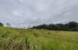 Johor Bahru, Johor 81200