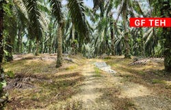 Selama, Perak 34100