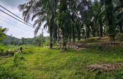 Batu Gajah, Perak 31560