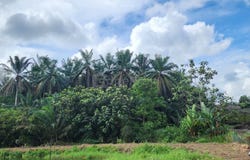 Ulu Tiram, Johor 81800