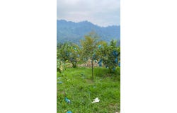 Bentong, Pahang
