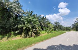 Banting, Selangor 42700