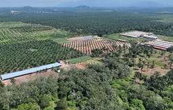 sungai siput, Kuala Kangsar, Perak 31100