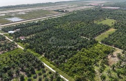 Kuala Selangor, Selangor 45700
