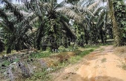 Ulu Tiram, Johor