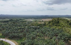 Kulai, 81100, Johor Bahru, Johor, Johor Bahru, Johor 81100