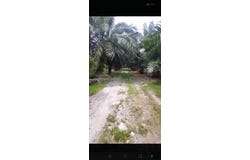 Banting, Selangor 42700