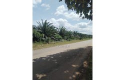 Jerantut, Pahang