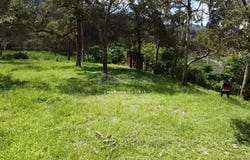 Bentong, Pahang 28700