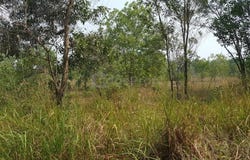 Rawang, 48000, Selangor, Rawang, Selangor 48000