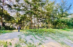 Balok, Pahang 26080