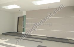 JALAN AMBANG BOTANIC, BANDAR BOTANIC, BUKIT TINGGI, Bandar Botanic/Bandar Bukit Tinggi, Selangor 41200