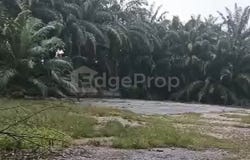 Kampung Seri Cheeding, Jenjarom, Banting, Banting, Selangor 42700