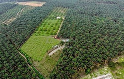 Kulai, Johor 81000