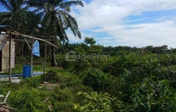 Kampung Endah, Morib, Banting, Banting, Selangor 42700