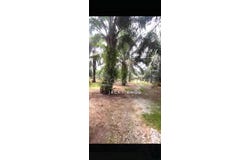 Banting, Selangor 42700