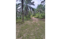 Taiping, Perak
