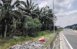 Pekan Nenas, Johor 81500