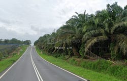 Kota Tinggi, Johor 81900