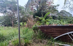 F, Temerloh, Pahang 28400