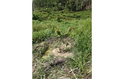 Hulu Perak, Perak