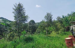 Karak, Pahang 28600