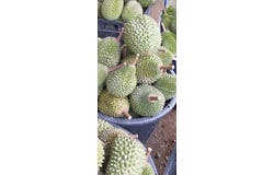 Raub, Pahang 26700