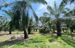 Manjung, Perak 34900