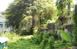 Petaling Jaya, Selangor 47300
