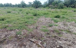 Banting, Selangor 42700