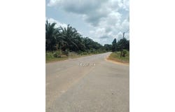 Maran Mengkarak, Pahang 26500