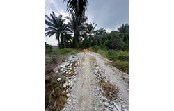 Pekan Nenas, Johor 81500