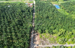Jalan Bukit Berdamar, Cyberjaya, Selangor 63000