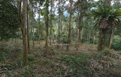 Taiping, Perak 43000